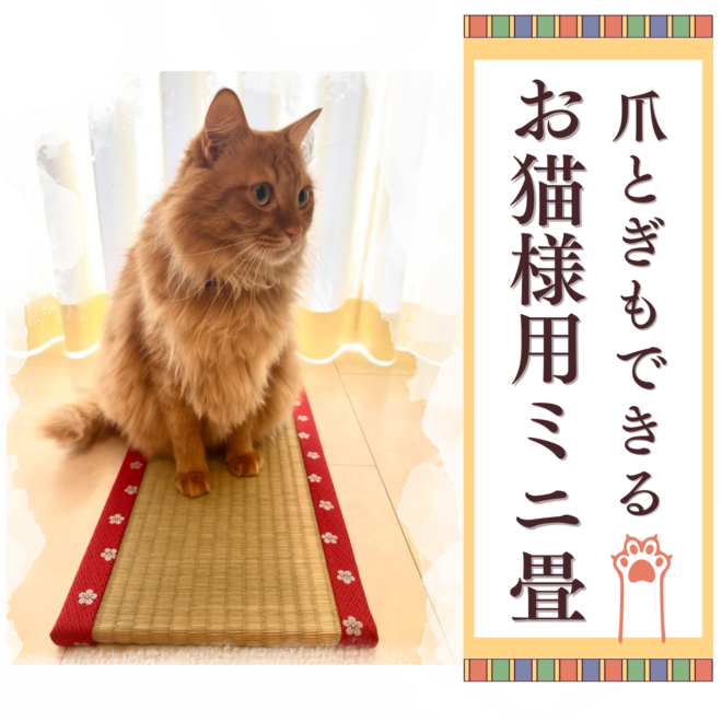 爪とぎやお昼寝に♡熊本県産い草を%使用したお猫様専用ミニ畳