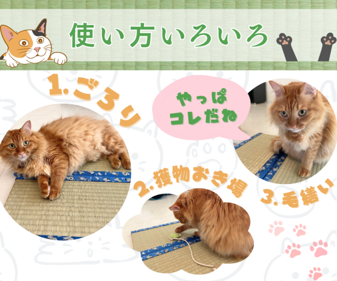 爪とぎやお昼寝に♡熊本県産い草を100%使用した「お猫様専用ミニ畳