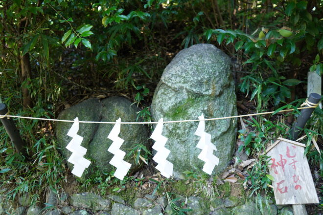 「飛鳥坐神社」の陰陽石（撮影：高野晃彰）