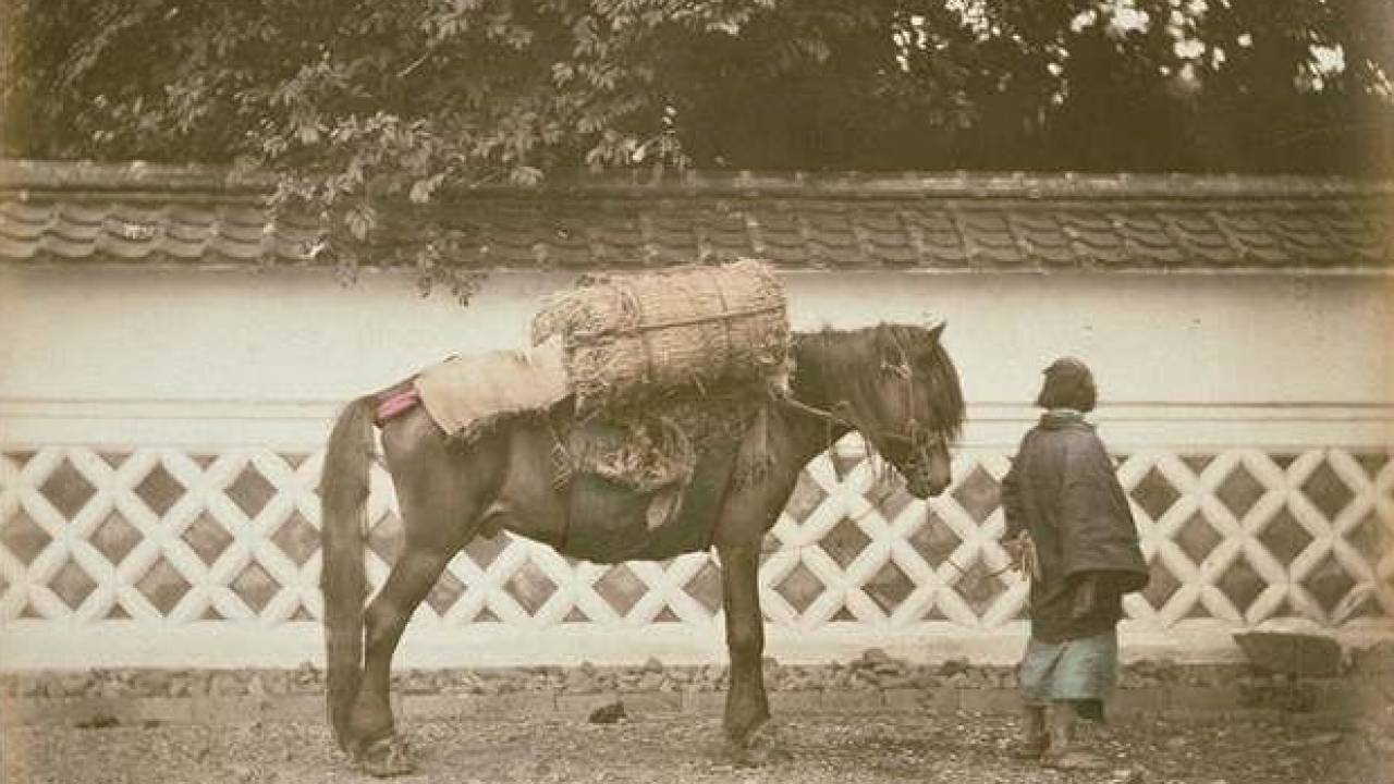 飛脚に比べ速さは？中世〜江戸時代の連絡・交通手段「早馬」はどのように活用されていた？
