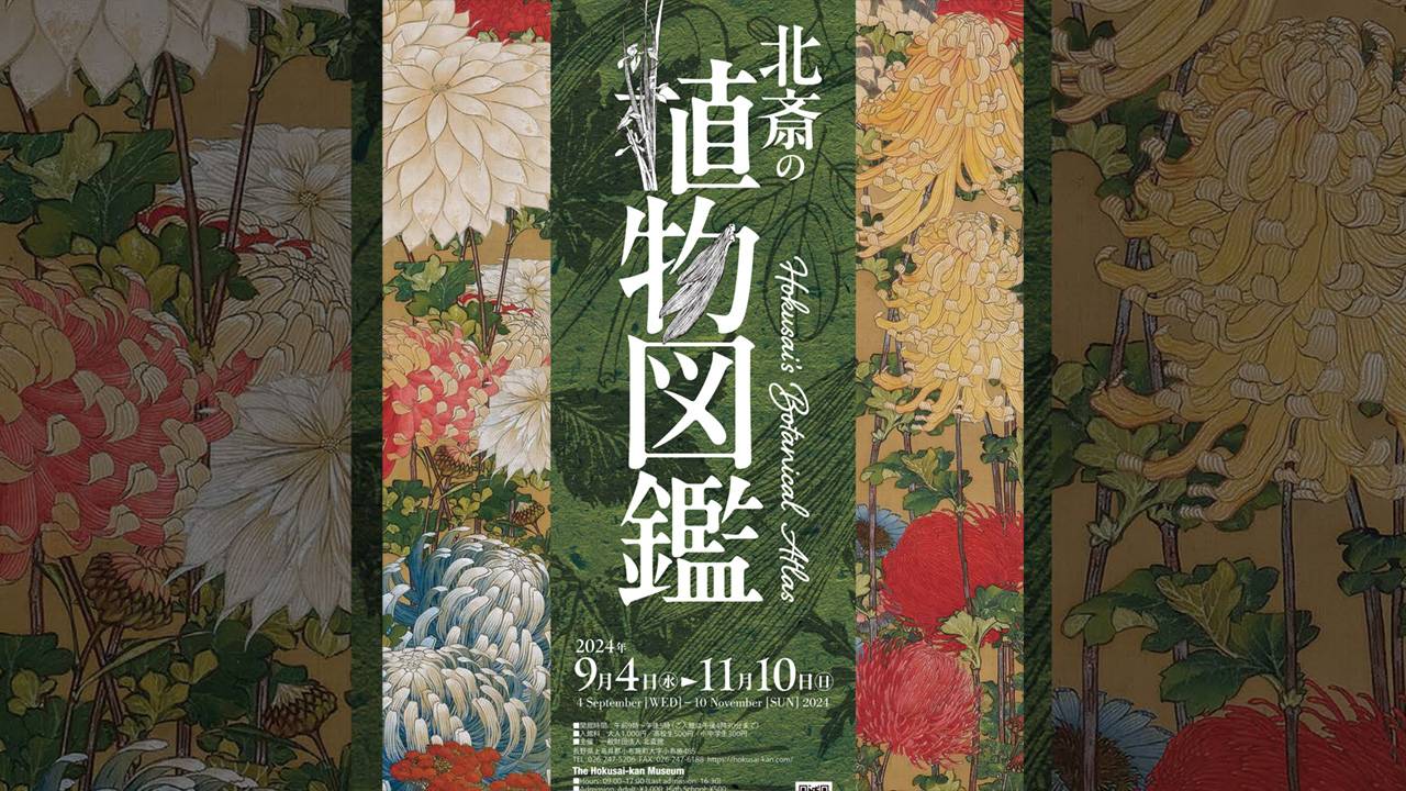 葛飾北斎が描いた100種超の植物の絵が展示室を埋め尽くす！展覧会「北斎の植物図鑑」が開催