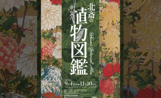 葛飾北斎が描いた100種超の植物の絵が展示室を埋め尽くす！展覧会「北斎の植物図鑑」が開催