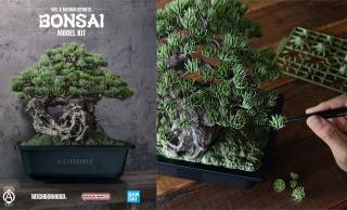 日本が誇る伝統アート「盆栽」がなんとプラモデルに！最新の成形技術で植物をリアル再現