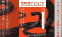 巳年や正月にふさわしい名品を観覧！東京国立博物館の恒例企画「博物館に初もうで」が開催