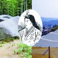 990b996b82eea927db68d6629ad233