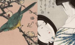 江戸時代は”ウグイスの糞”を美白ケアやシミ消しの美容法に使用していたという驚きの事実