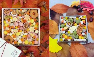 秋の風情を表現した色鮮やかな「ふきよせ」が和モダン和菓子ブランド『tamayose』から発売