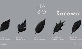 葉っぱがモチーフの和紙で出来たお香「HA KO」のブラックラインがリニューアル！