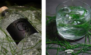 盆栽から香りの一滴へ。”松葉”を蒸溜したクラフトジン「TRADMAN’S 松葉ジン」が新発売