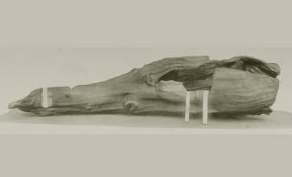 あなたもいかが？歴史上の権力者たちを虜にしてきた香木『蘭奢待』の香りを現代に再現【奈良・正倉院】