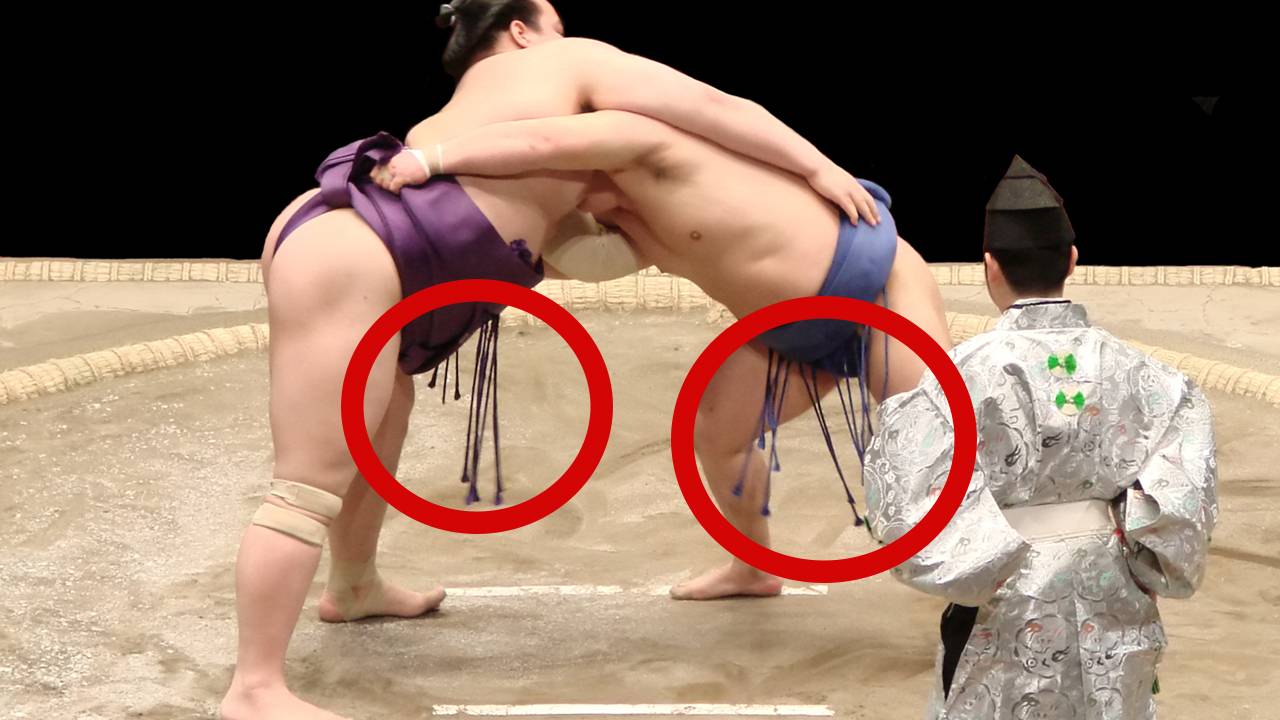 飾りではない！相撲の力士のまわしに付いた”のれん”みたいな「下がり」の目的と意外すぎるルーツ