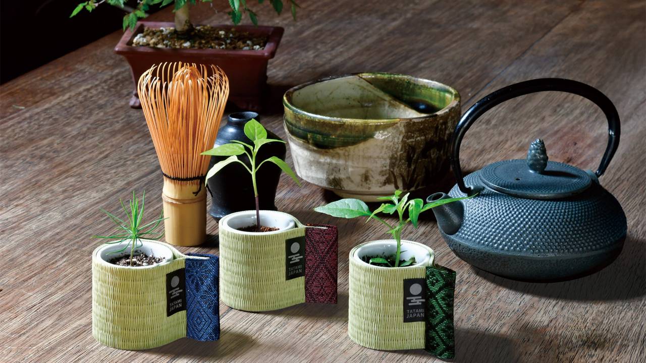 日本の暮らしを象徴する「畳」をあしらった栽培キット『お芽でたおちょこ　畳』が発売