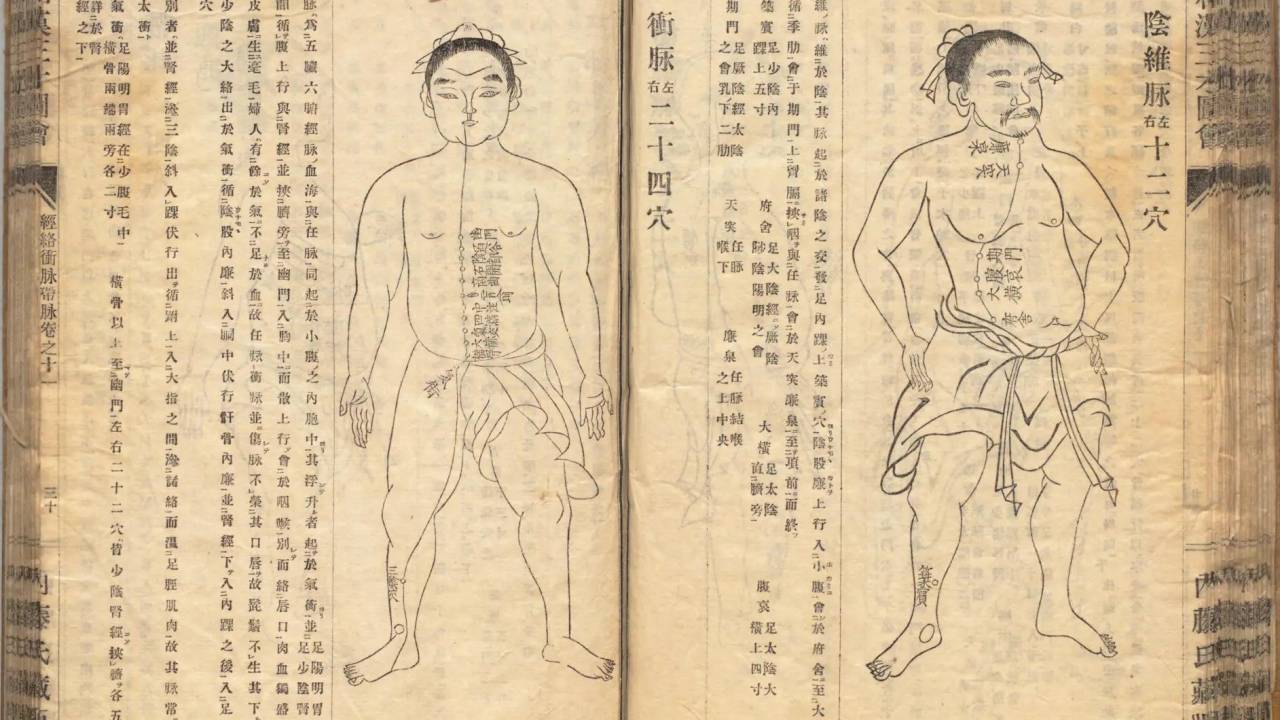 一撃必殺の“急所突き”って本当なの？江戸武術が編み出し極秘伝授「秘孔」の恐るべき実在