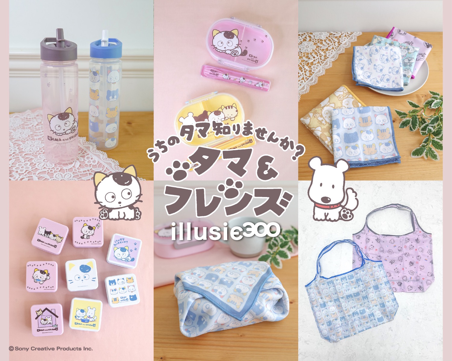 うちのタマ知りませんか？80年代に大ブームを巻き起こした『タマ