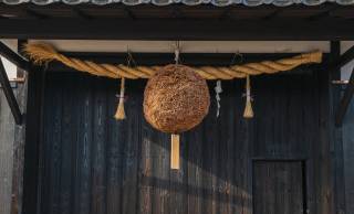 酒蔵の軒先に“丸い杉の玉”がぶら下がっている理由――「杉玉」の歴史と色の秘密