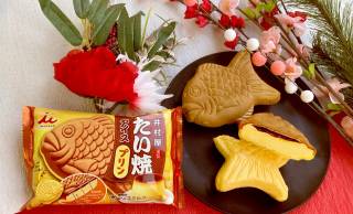 昔懐かしい固めプリン風♪ロングセラー和風アイスに期間限定『たい焼アイス　プリン』登場