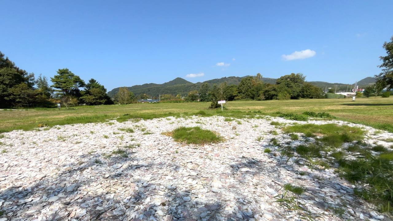 縄文時代の貝塚は単なる“ゴミ捨て場”ではない！350体もの人骨が発掘された事実に見る縄文人の死生観