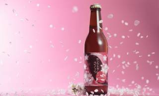 桜の花と葉を使用し桜餅のような風味が楽しめるビール「サンクトガーレン さくら」が季節限定発売