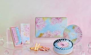 デザインがリニューアル！ヨックモック春限定商品「ドゥーブル ショコラ オゥ サクラ」が今年も登場