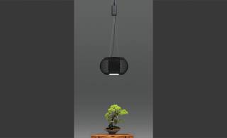室内で“盆栽”の美しさを維持してくれる光源を装備した「サイリウムペンダントライト」が発売