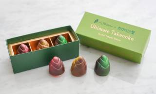 【最終販売】明治「たけのこの里」の究極形態『アルティメットたけのこ』が限定再販決定！