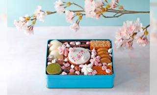 春の門出に贈るギフトにぴったり！春限定、桜満開のクッキー缶が新発売