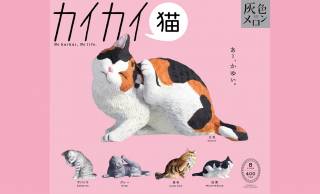 カイカイしてる猫ちゃんたちの癒やしミニフィギュア「カイカイ猫」が新発売！全５種