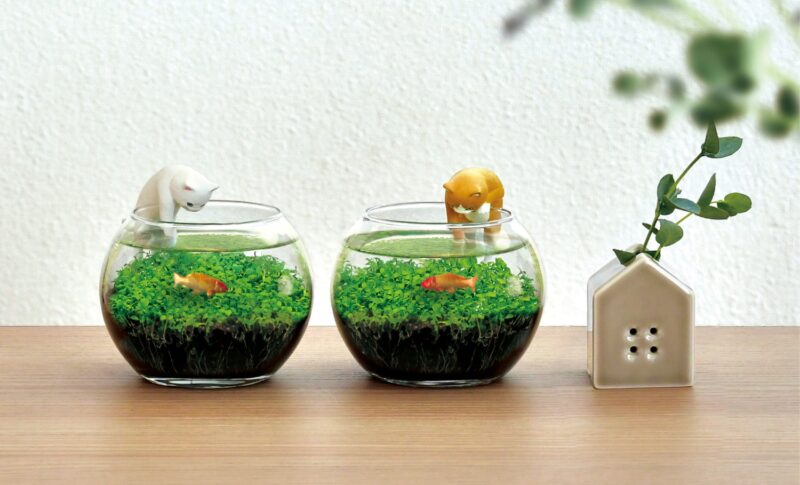 猫と金魚の愛らしい情景がモチーフの水草栽培キット「じゃれ猫水草鉢」が発売。