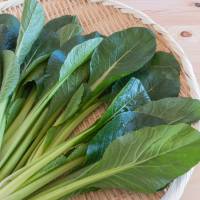 「小松菜」の名付け親は将軍・徳川吉宗？江戸時代まで遡る身近な野菜に隠された意外な歴史