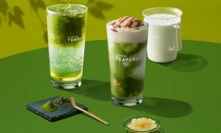 スターバックス ティー ＆ カフェから「煎茶」と「抹茶」に着目した新商品3種が新登場！