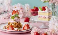 桜といちごがテーマの春限定メニューが全国の『Afternoon Tea TEAROOM』で提供スタート！