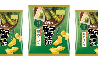 人気ポテチ「堅あげポテト」シリーズに期間限定『堅あげポテト 塩わさび味』が新登場！