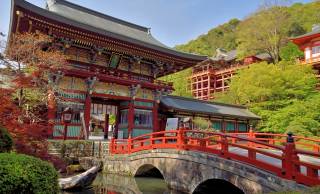 日本人は知らないのに外国人が殺到！祭り・寺社仏閣で見つけた“意外な日本の名所3選”