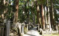織田信長も明智光秀も同じ参道に…高野山奥の院「20万基超の供養塔」に隠された祈りの正体