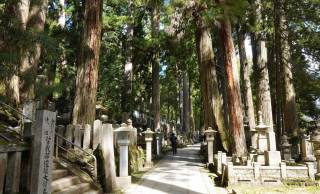織田信長も明智光秀も同じ参道に…高野山奥の院「20万基超の供養塔」に隠された祈りの正体