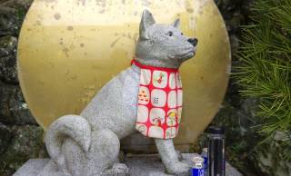 高野山へ参詣者を導いた伝説の犬「ゴンちゃん」とは？23キロの山道を4年間歩き続けた感動実話