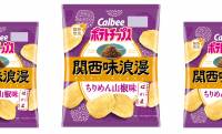 ポテチで京都名物「ちりめん山椒」の味わい再現『ポテトチップス関西味浪漫 ちりめん山椒味』新発売