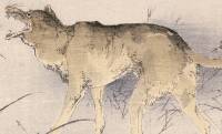 ツルだけじゃない！狼と猟師の友情物語、神奈川に残る伝承「オオカミの恩返し」を解説