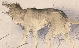 ツルだけじゃない！狼と猟師の友情物語、神奈川に残る伝承「オオカミの恩返し」を解説