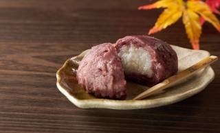 おはぎとぼた餅の違いは季節？最中とは？和菓子の名前の由来とユニークな別名や歴史を解説